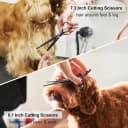 Dog Grooming Scissors Kit — 7 Inch Safety Pet Cat Shears Set