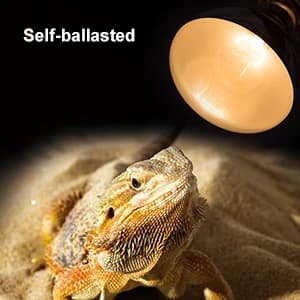Full Spectrum UVA + UVB Sun Lamp Self-Ballasted Vapor Lamp/Bulb/Light for Reptile and Amphibian Use — collection imagery