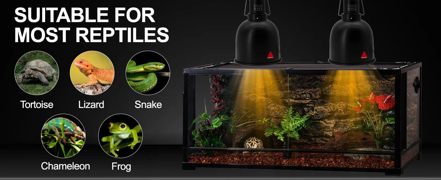 Reptile Light Fixture — 2 Packs 5.5 Inch Deep Dome Lampshade — The Reptile Light Fixture Suited to Most Reptiles