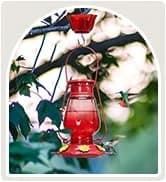 Metal Bird Feeders for Outdoors Hanging — collection imagery