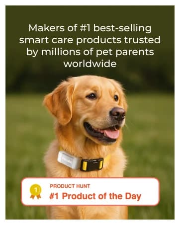 GPS Tracker for Dogs – Real-Time GPS Tracking and Escape Alerts — collection imagery