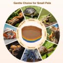 4Pcs Reptile Food Water Dish — Shallow Feeding Dish for Tortoise Terrarium