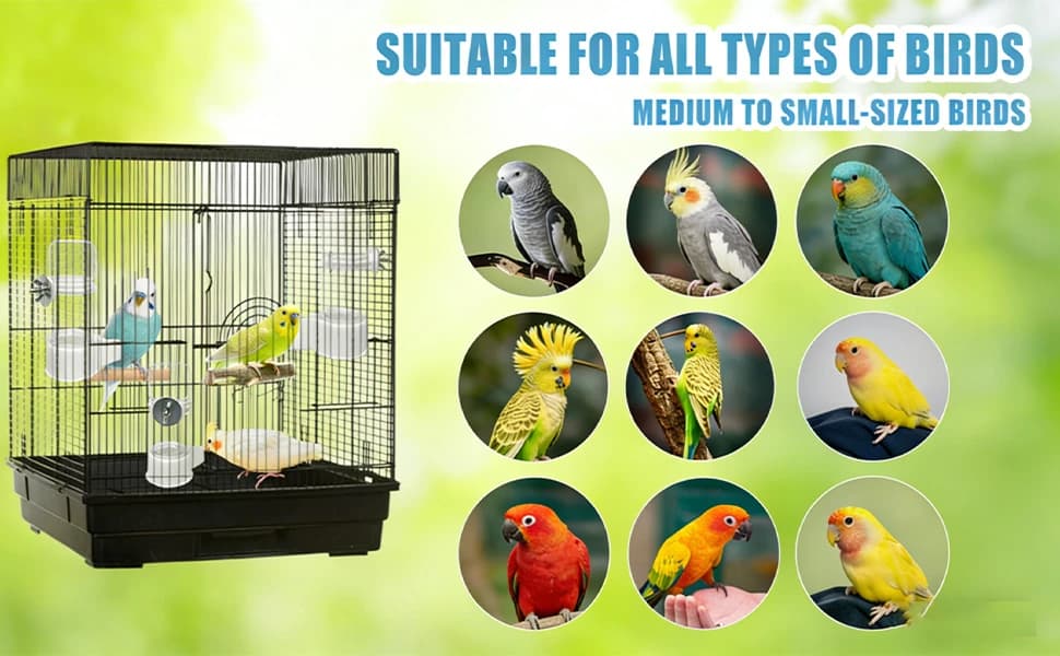 Automatic Bird Water Dispenser Cage Hanging Water Feeder with Anti-Spill Design for Parakeet Canary Small — product details