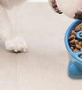 Gravity Pet Water Bowl — 16oz Anti-Splash Crate Dispenser — collection imagery