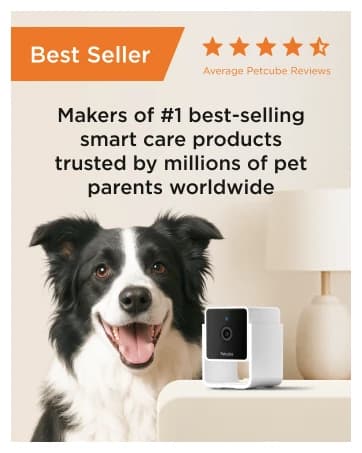 Cam 360 – Wi-Fi Pan-Tilt Pet Security Camera with App — collection imagery