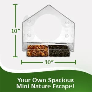 Window Bird Feeder with Strong Suction Cups — collection imagery