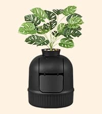 Cat Litter Box Enclosure — End Table — collection imagery