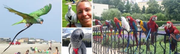 Pet Bird Harness and Leash — Petite — product details