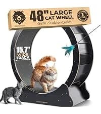48'' XL Cat Wheel β Safe, Quiet and Stable Exercise Wheel for Large Indoor Cats up to 45 lbs β 15.7'' β collection imagery
