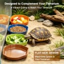 4Pcs Reptile Food Water Dish — Shallow Feeding Dish for Tortoise Terrarium