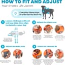 Granby Splash Dog Life Jacket
