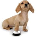 Dog Training Bell — Set of 2 Dog Puppy Pet Potty Training Bells
