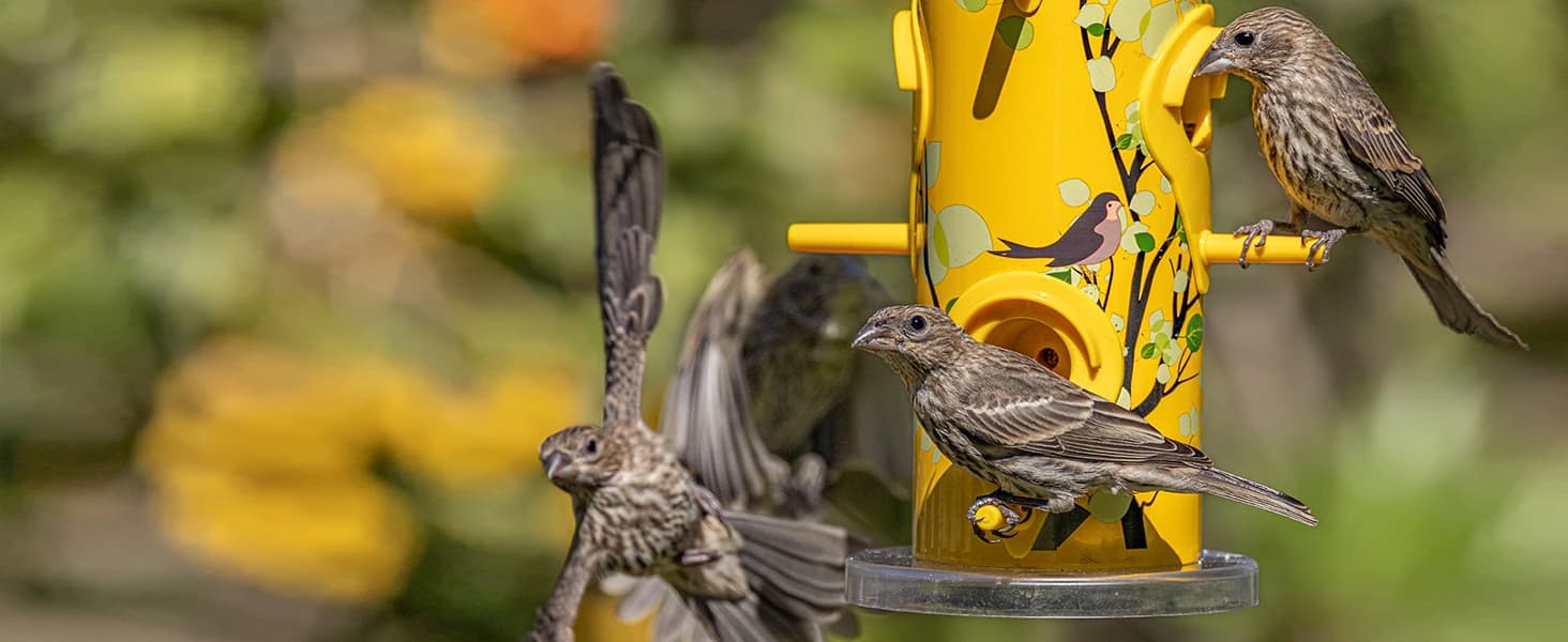 Metal Bird Feeders for Outdoors Hanging — product details