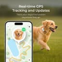 GPS Tracker for Dogs – Real-Time GPS Tracking and Escape Alerts — Set name: GPS Tracker for Dogs