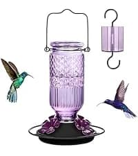 Glass Hummingbird Feeder for Outdoors Hanging — collection imagery