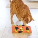 Nina Ottosson Melon Madness Puzzle and Play Cat Toy