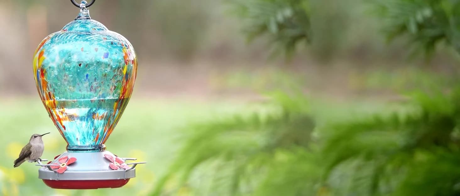 Hummingbird Feeders for Outdoors Hanging — collection imagery