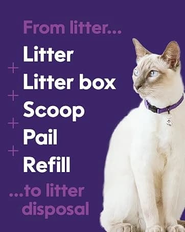 Refill Bags | Standard 3-Pack — collection imagery