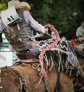 1200D Waterproof Winter Turnout Horse Blanket — collection imagery