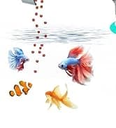 Battery Powered Aquarium Air Pump — collection imagery