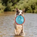 Paraflight Flying Disc Dog Toy