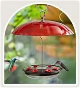 Metal Bird Feeders for Outdoors Hanging — collection imagery