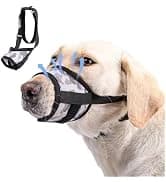Dog Backpack for Small Dogs to Wear — collection imagery