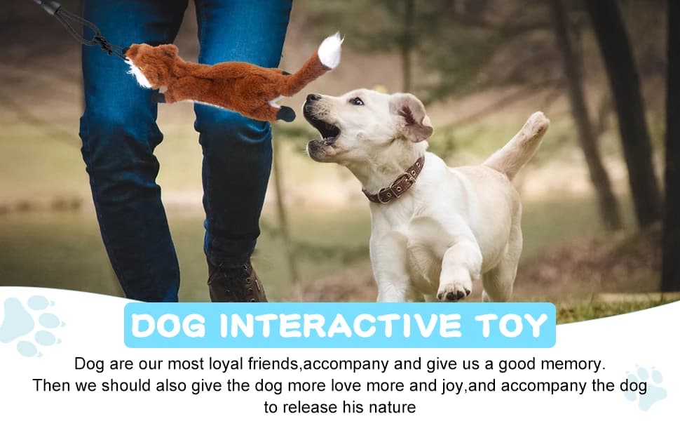 Flirt Pole for Dogs - Heavy Duty Interactive Dog Rope Toy — product details