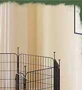 64-Inch Open Top Bird Cage for Parakeets and Cockatiels — collection imagery