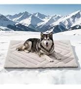 2 Packs Car Door Protector for Dogs — collection imagery