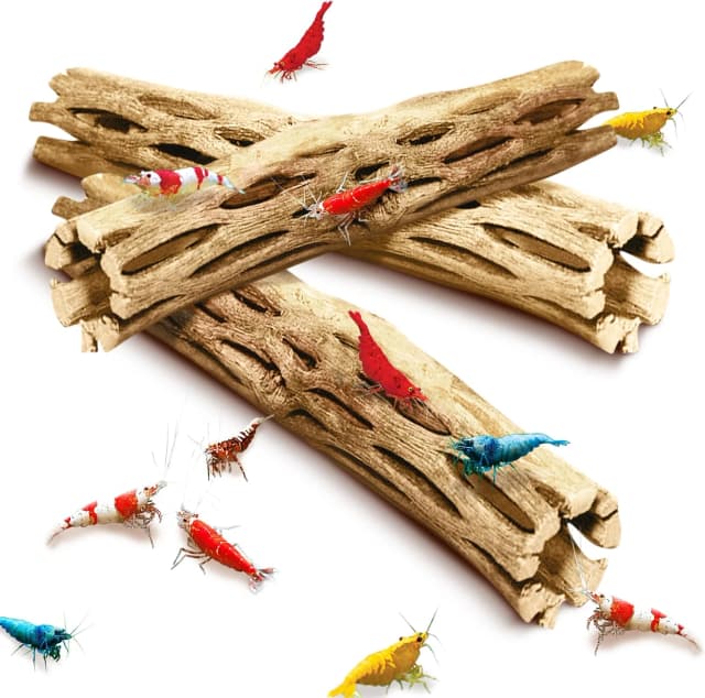 3 Pack Shrimp Cholla Wood — Aquarium Driftwood Decor for Fish Tank Setup