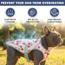 Dog Cooling Vest - Evaporative Summer Cooling