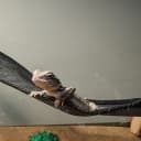2 Pcs Bearded Dragon Lizard Hammock