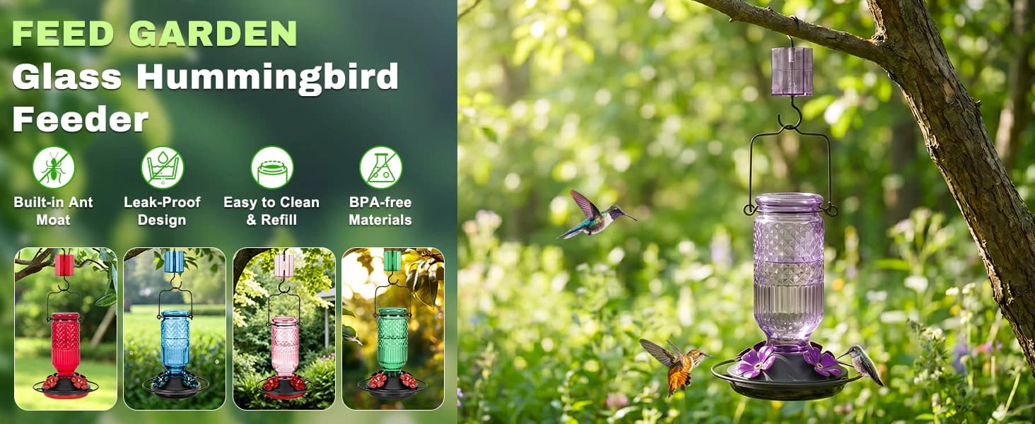 Glass Hummingbird Feeder for Outdoors Hanging — Crafted for Hummingbirds, Made for You