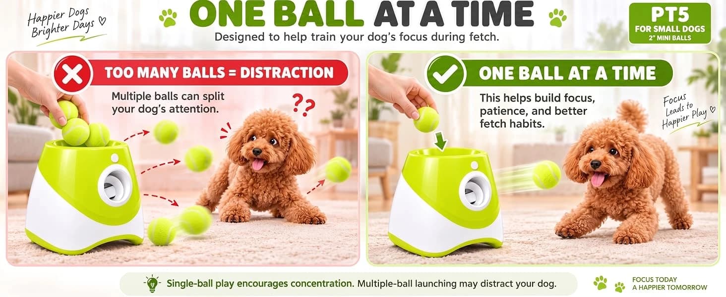 PT5 Automatic Dog Ball Launcher for Small Dogs — One Ball at a Time