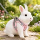 Bunny Harness and Leash Set Soft Breathable Rabbit Harness Eescape Proof Walking Training Rabbit Pet Vest