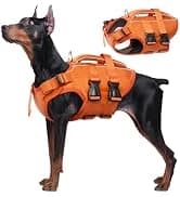 Dog Surgery Recovery Suit — Surgical Suit for Dogs Male Female — collection imagery