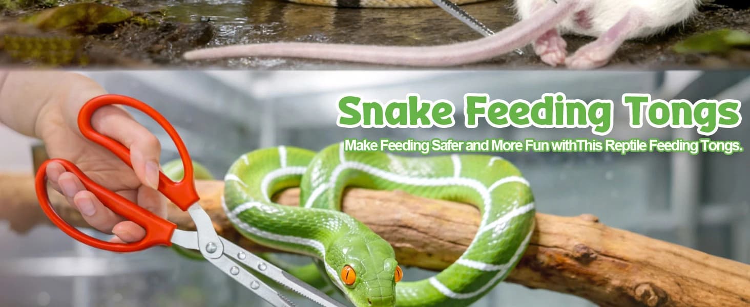 Snake Feeding Tongs,15 Inch Reptile Feeding Tongs — product details