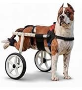 Dog Wheelchair for Back Legs — Adjustable Mobility Cart for Dog — collection imagery