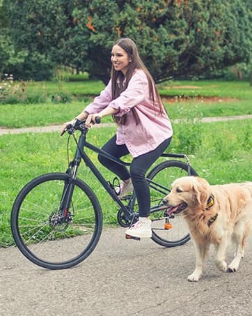 V2.0-180° Rotating Dog Bike Leash - with Shock Absorbers and Quick Attach Mechanism | Carbon Fiber | Detachable — collection imagery