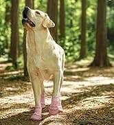 Dog Sunglasses Dog Goggles for Medium and Large Breed Dogs Eye Protection — collection imagery