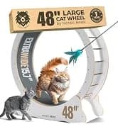 48'' XL Cat Wheel β Safe, Quiet and Stable Exercise Wheel for Large Indoor Cats up to 45 lbs β 15.7'' β collection imagery