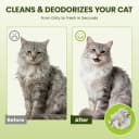 Hypoallergenic Pet Wipes for Dogs