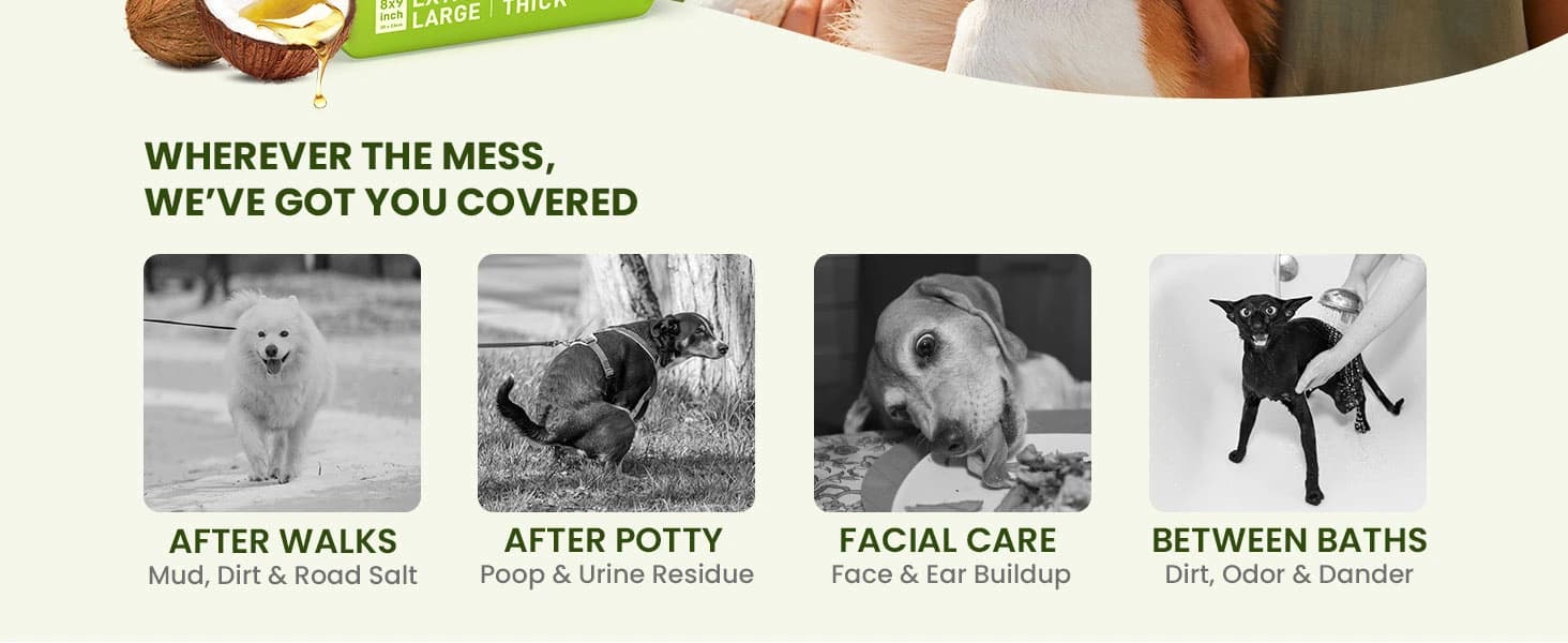 Hypoallergenic Pet Wipes for Dogs — product details