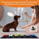 Set of 6 Recordable Buttons with Rubber Mat and 50 Training Stickers