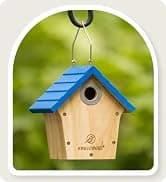 Metal Bird Feeders for Outdoors Hanging — collection imagery