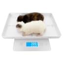 Digital Pet Scale for Small Animal