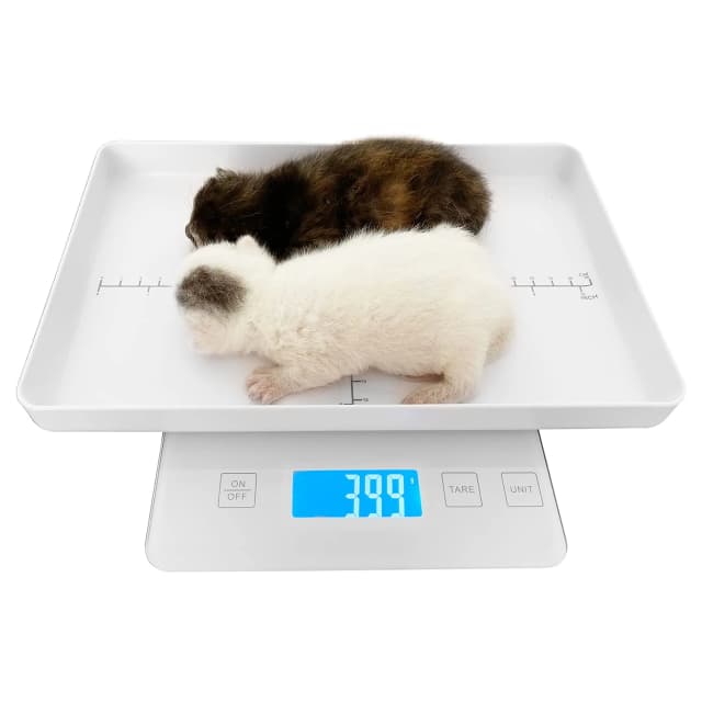 Digital Pet Scale for Small Animal