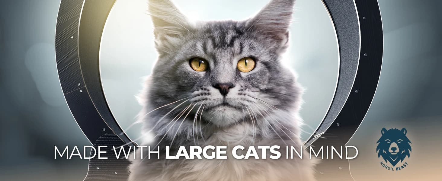 48'' XL Cat Wheel β Safe, Quiet and Stable Exercise Wheel for Large Indoor Cats up to 45 lbs β 15.7'' β Meet the cat wheel - #1 Choice for Large Cats