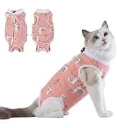 Dog Backpack for Small Dogs to Wear — collection imagery